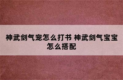 神武剑气宠怎么打书 神武剑气宝宝怎么搭配